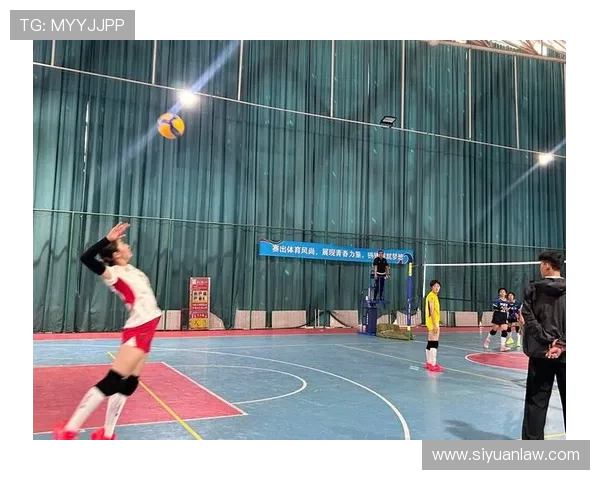 杭州排球队的默契配合与战术分析探讨排球竞技的团队精神与协作技巧