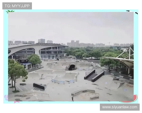 武汉滑板队的秘密运营模式与深度探索滑板文化的魅力 武汉滑板队的秘密运营模式与深度探索滑板文化的魅力