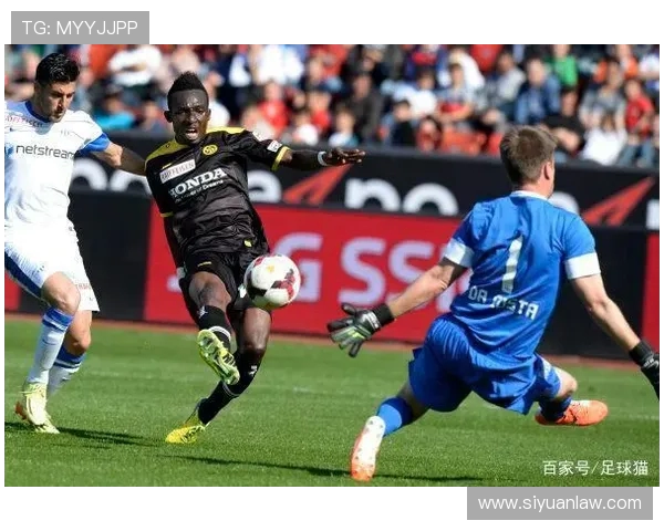 维也纳迅速与林茨的精彩对决比分揭晓分析